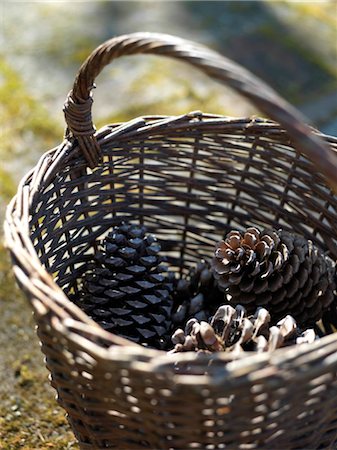 simsearch:853-02914351,k - Basket with fir cone, elevated view Foto de stock - Con derechos protegidos, Código: 853-02913746