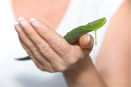 Aloe Vera leaf in woman's hand, close-up Foto de stock - Con derechos protegidos, Código: 853-03616725
