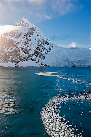 Frazil ice near Point Wild off Elephant Island at the northeast end of the South Shetland Islands. Foto de stock - Con derechos protegidos, Código: 862-05996619