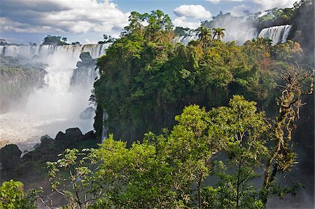 simsearch:862-06675986,k - Les spectaculaires chutes d'Iguazu du parc IguazuNational, un Site du patrimoine mondial, avec un vautour noir dans un arbre à proximité. Argentine Photographie de stock - Rights-Managed, Code: 862-05996713