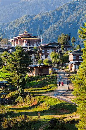 Morning light on the village of Gangtey, situated at the head of the Phobjikha Valley. Foto de stock - Con derechos protegidos, Código: 862-05996951