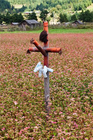 simsearch:862-05996979,k - Phallus en bois sont utilisés dans les champs cultivés comme un épouvantail lorsque les cultures commencent à germer et aussi comme un symbole de fertilité, comme on le voit ici dans un champ de sarrasin dans la vallée de connan. Photographie de stock - Rights-Managed, Code: 862-05997002