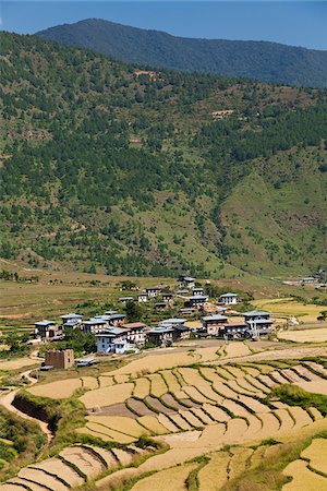 Yuwakha village, en route to Chimi Lhakhang. Foto de stock - Con derechos protegidos, Código: 862-05997042