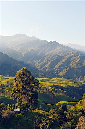 early morning landscapes - South America, Colombia, Cocora Valley, Salento Stock Photo - Rights-Managed, Code: 862-05997291