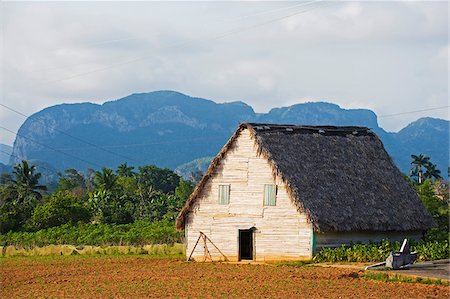 The Caribbean, West Indies, Cuba, Vinales Valley, Unesco World Heritage Site, thatched roof tobacco drying house Stock Photo - Rights-Managed, Code: 862-05997406