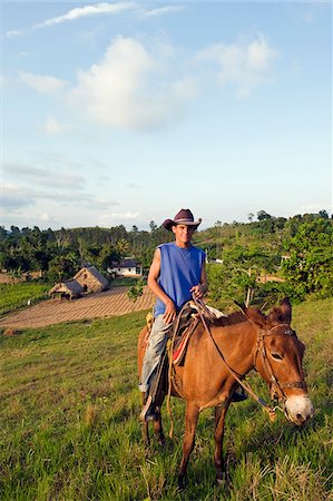The Caribbean, West Indies, Cuba, Vinales Valley, Unesco World Heritage Site, rancher riding a horse Foto de stock - Con derechos protegidos, Código: 862-05997407