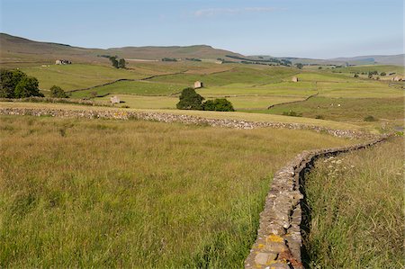 simsearch:693-03315202,k - Offre une vue panoramique sur la vallée de Wensleydale, Yorkshire Dales National Park, North Yorkshire Photographie de stock - Rights-Managed, Code: 862-05997539