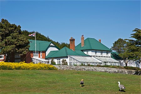 Government House at Stanley.  It has been the home of successive British governors of the Falkland Islands since 1845.  The glass conservatory houses a famous grapevine. Foto de stock - Con derechos protegidos, Código: 862-05997626
