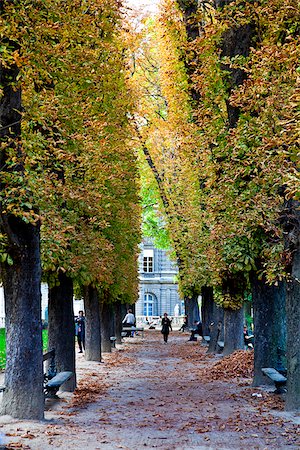 Luxembourg Park in Paris, France. Stock Photo - Rights-Managed, Code: 862-05997741