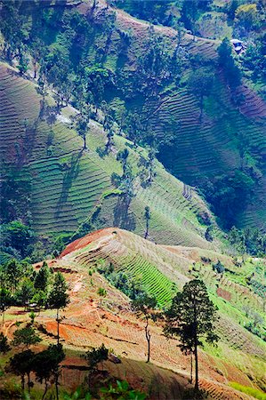 The Caribbean, Haiti, Port of Prince, Kenscoff mountains Fotografie stock - Rights-Managed, Codice: 862-05997849