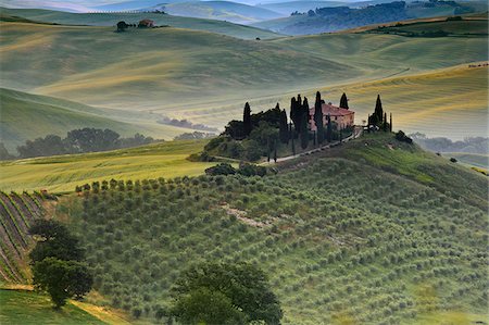 District de Sienne Italie, Toscane, vallée de l'Orcia, Podere Belvedere près de San Quirico d'Orcia Photographie de stock - Rights-Managed, Code: 862-05998050