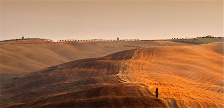 simsearch:862-05998057,k - Italy, Tuscany, Siena district, Orcia Valley, countryside. Stock Photo - Rights-Managed, Code: 862-05998053