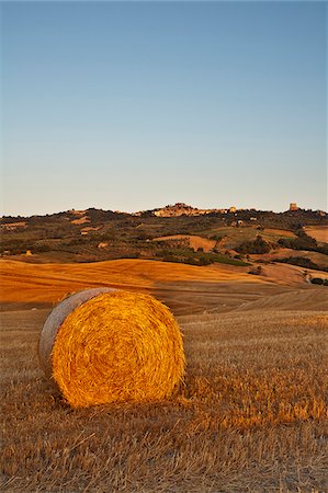 san quirico d'orcia - Italy, Tuscany, Siena district, Orcia Valley, Castiglione d'Orcia. Foto de stock - Con derechos protegidos, Código: 862-05998068