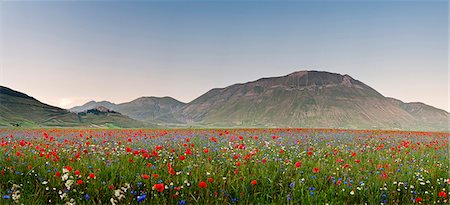 Italy, Umbria, Perugia district, Monti Sibillini NP, Norcia, Castelluccio. Stock Photo - Rights-Managed, Code: 862-05998122