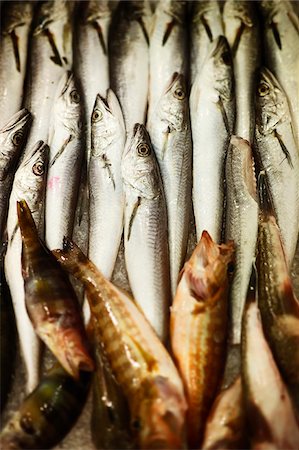 row fish - Italy, Puglia, Lecce district, Salentine Peninsula, Salento, Gallipoli. fish market. Stock Photo - Rights-Managed, Code: 862-05998186