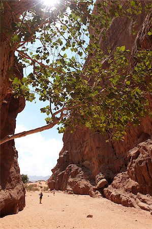 Desert Landscape in the Wadi Rum, Jordan Stock Photo - Rights-Managed, Code: 862-05998271