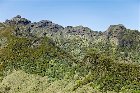 simsearch:862-03808741,k - The peaks of Il Kinangop in the remote southern sector of the Aberdare National Park rise to almost 13,000 feet.  A rare mass yellow flowering of giant groundsels dot the rugged mountain-sides. Foto de stock - Direito Controlado, Número: 862-05998415