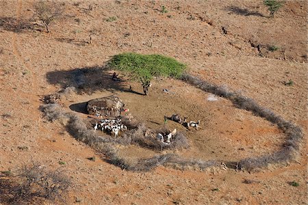 A small traditional homestead of a Samburu family.  The Samburu are semi-nomadic pastoralists who live in northern Kenya. Stock Photo - Rights-Managed, Code: 862-05998426