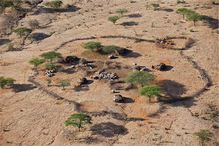 Une ferme traditionnelle d'une grande famille de Samburu. Le Samburu sont des pasteurs semi-nomades qui vivent au nord du Kenya. Photographie de stock - Rights-Managed, Code: 862-05998427