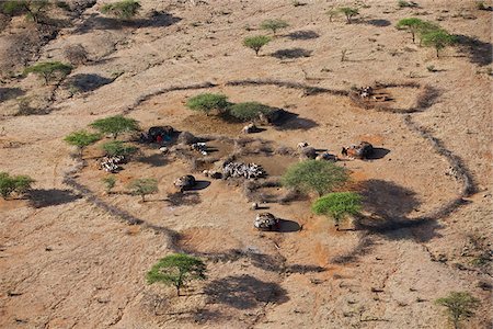 east africa houses - A traditional homestead of a large Samburu family.  The Samburu are semi-nomadic pastoralists who live in northern Kenya. Stock Photo - Rights-Managed, Code: 862-05998427