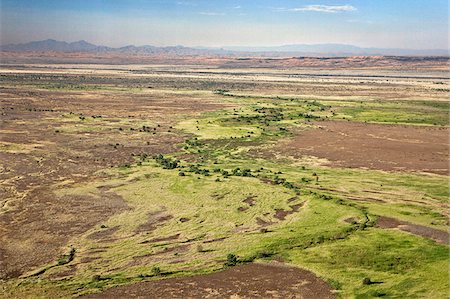 The green vegetation of the highly alkaline Suguta River which meanders through the low-lying, inhospitable Suguta Valley. Stock Photo - Rights-Managed, Code: 862-05998435