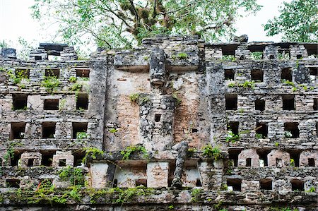 simsearch:862-05998717,k - L'Amérique du Nord, Mexique, Chiapas ruines mayas de l'état, Yaxchilan, Photographie de stock - Rights-Managed, Code: 862-05998606