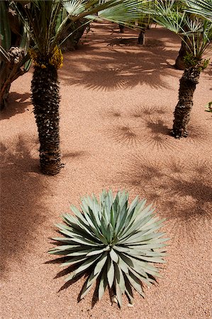 The Majorelle Garden is a botanical garden in Marrakech, Morocco. Stock Photo - Rights-Managed, Code: 862-05998710