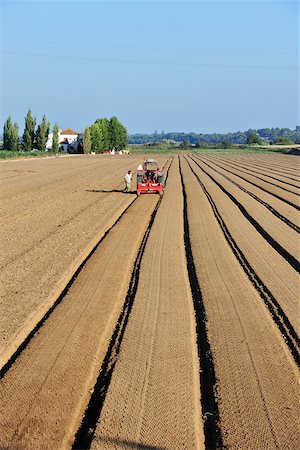 plows on tractor - Plowing the agricultural fields. Salvaterra de Magos, Portugal Stock Photo - Rights-Managed, Code: 862-05998845