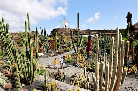 Jardin de Cactus (Cesar Manrique). Lanzarote, Canary islands Stock Photo - Rights-Managed, Code: 862-05999251