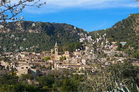 simsearch:862-05999468,k - Almond Blossom, Valldemossa, Serra de Tramuntana, Majorca, Balearics, Spain Stock Photo - Rights-Managed, Code: 862-05999316