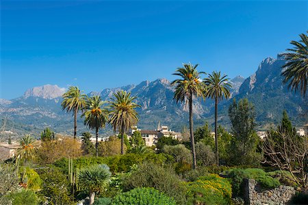 simsearch:862-05999437,k - Botanical Garden in Soller, Serra de Tramuntana, Majorca, Balearics, Spain Foto de stock - Con derechos protegidos, Código: 862-05999322