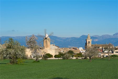 simsearch:862-05999450,k - Almond Blossom nearby Algaida, Majorca, Balearics, Spain Foto de stock - Con derechos protegidos, Código: 862-05999343