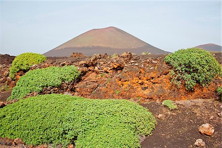 Paysage à Lanzarote, îles Canaries, Espagne Photographie de stock - Rights-Managed, Code: 862-05999408