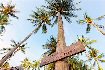 simsearch:862-05999536,k - Thailand, Ko Samui, Chaweng beach, Sign on palm tree Stock Photo - Rights-Managed, Code: 862-05999538
