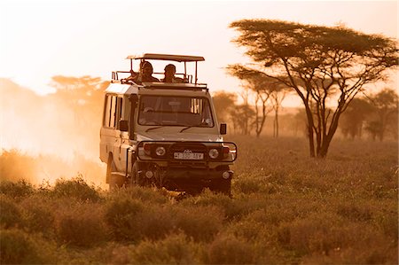 simsearch:862-03808218,k - Safari vehicle on a game drive at dusk in the Ndutu region of the Serengeti National Park, Tanzania. Foto de stock - Con derechos protegidos, Código: 862-05999563