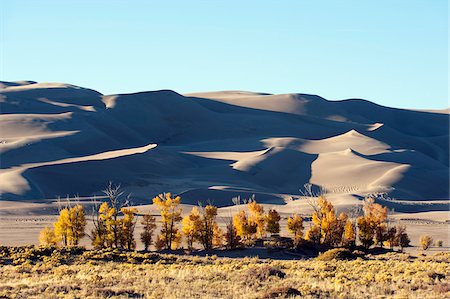 L'Amérique du Nord, USA, États-Unis d'Amérique, du Parc National de l'Amérique, dans le Colorado, Great Sand Dunes Photographie de stock - Rights-Managed, Code: 862-05999617