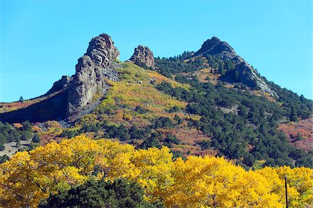 simsearch:862-08274072,k - Nordamerika, USA, Vereinigte Staaten von Amerika, Colorado, Espe Herbstfarben Stockbilder - Lizenzpflichtiges, Bildnummer: 862-05999610