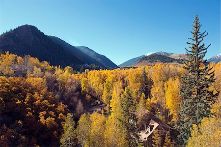 North America, USA, United States of America, Colorado, The Elk Range, Aspen village, Aspen Foto de stock - Con derechos protegidos, Código: 862-05999621