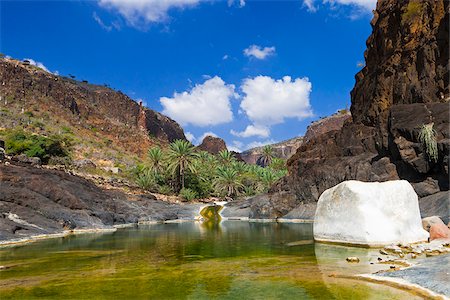 palma da dattero - Yemen, Socotra, Wadi Dirrharr. Fotografie stock - Rights-Managed, Codice: 862-05999703