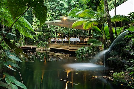 Australia, Queensland, Daintree.  Julaymba Restaurant in the rainforst at Daintree Eco Lodge and Spa. Stock Photo - Rights-Managed, Code: 862-06540734