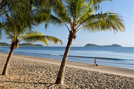 single coconut tree picture - Australia, Queensland, Cairns.  Kewarra Beach at dawn with Double Island in background. Stock Photo - Rights-Managed, Code: 862-06540744