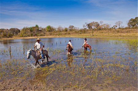 simsearch:400-06517682,k - South America, Brazil, Mato Grosso do Sul, Fazenda 23 de Marco, pantaneiro rancher guiding tourists through the Pantanal Stock Photo - Rights-Managed, Code: 862-06540994