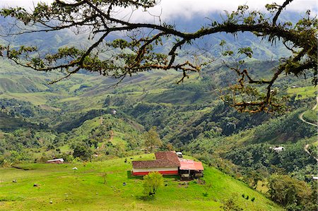 simsearch:862-08698655,k - Landscape south of Medellin,Colombia, South America Fotografie stock - Rights-Managed, Codice: 862-06541128