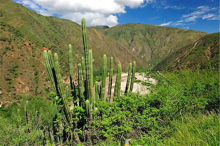 simsearch:862-06541079,k - Canon del Chicamocha, Bucaramango, Colombia, South America Photographie de stock - Rights-Managed, Code: 862-06541163