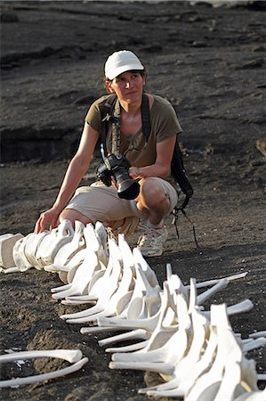 Tourist with skeleton of Brydes whale, Fernandina, Galapagos Islands, Ecuador Stock Photo - Rights-Managed, Code: 862-06541292