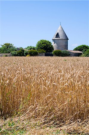 simsearch:862-06541450,k - France, Charente Maritime, Ile de Re.  An old windmill now converted into a house outside the village of Ars en Re. Stockbilder - Lizenzpflichtiges, Bildnummer: 862-06541442