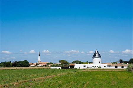 simsearch:862-06541450,k - France, Charente Maritime, Ile de Re.  View across a field towards  the tower of an old windmill now converted into a house just outside the village of Ars en Re. Stockbilder - Lizenzpflichtiges, Bildnummer: 862-06541456