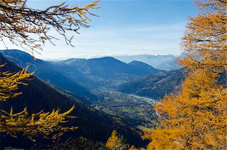 simsearch:862-06541584,k - Europe, France, French Alps, Haute Savoie, Chamonix, autumn colours in Chamonix valley Foto de stock - Con derechos protegidos, Código: 862-06541582