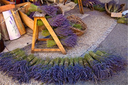 provence lavender - Sault, Vaucluse, Provence, France Stock Photo - Rights-Managed, Code: 862-06541756