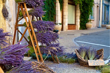 Sault, Vaucluse, Provence, France Stock Photo - Rights-Managed, Code: 862-06541757